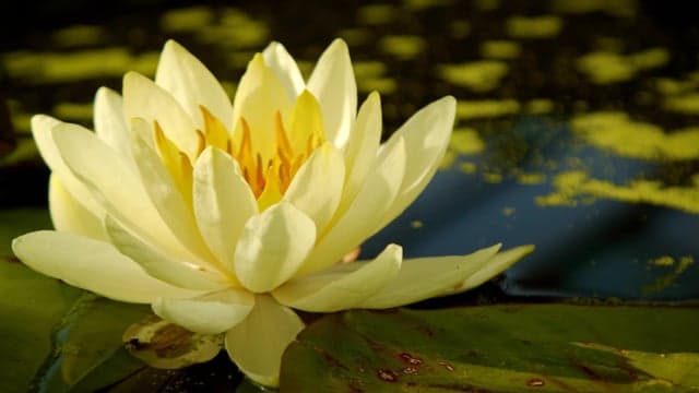 Qora ayollar bilan porno onlayn tomosha qiling