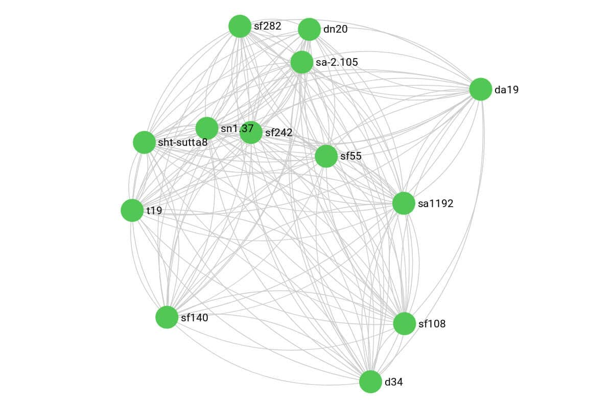 Visual representation of relationships for DN 20